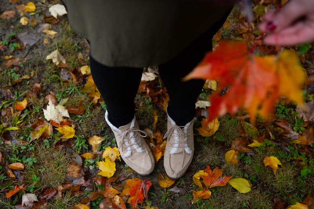 Autumn Break Holgates