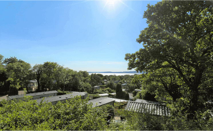 holgates-silverdale-wins-visitengland-rose-award