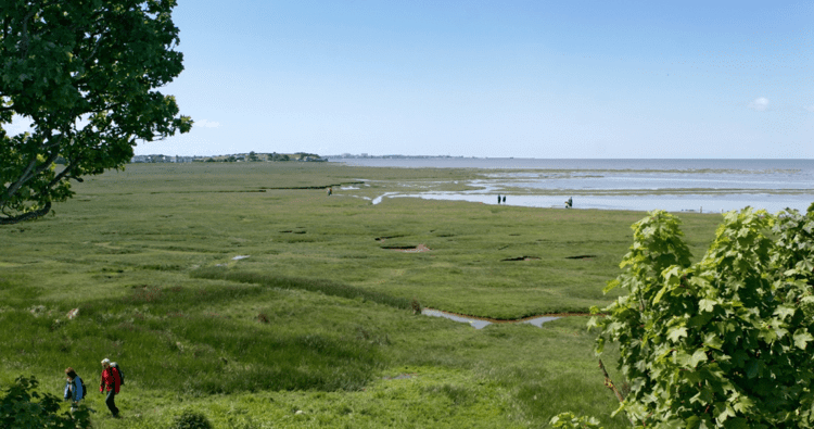 Morecambe Bay History
