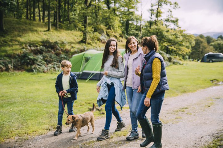 dog friendly holidays