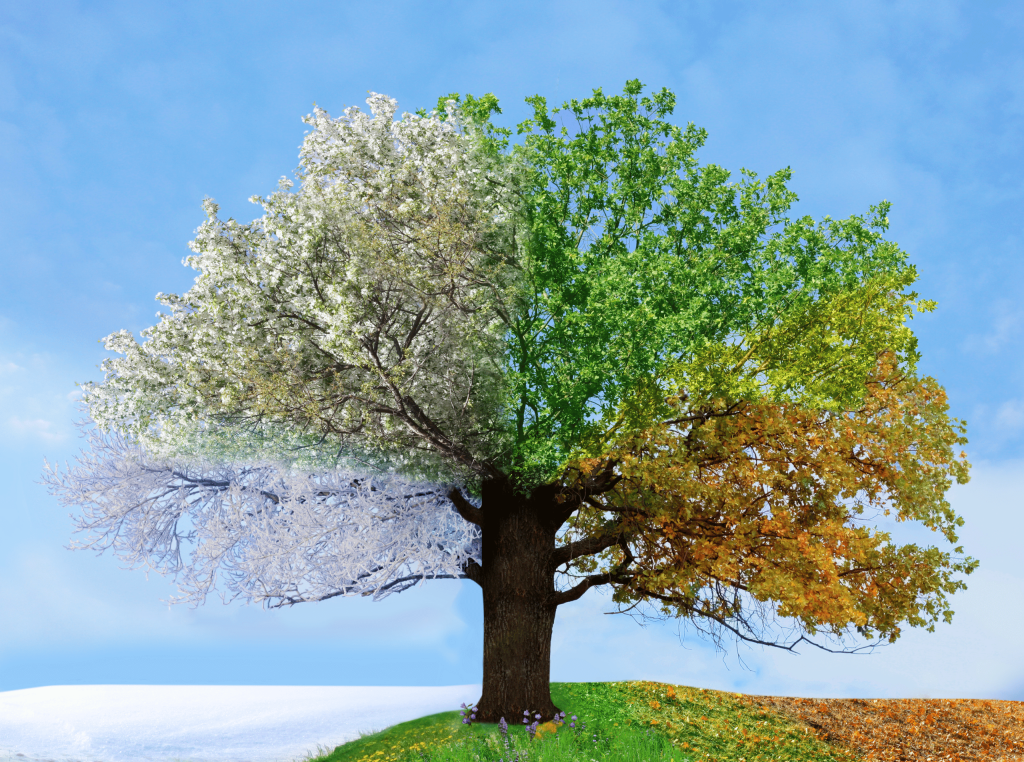 Making the Most of Your Holiday Home in Every Season
