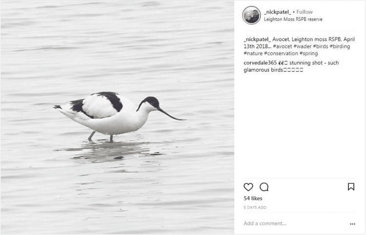 Wildlife Animal Spotting - Lake District 