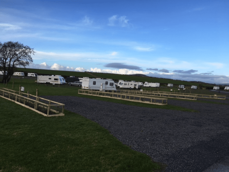 Lancashire Park’s Ambitious Tree Plan 