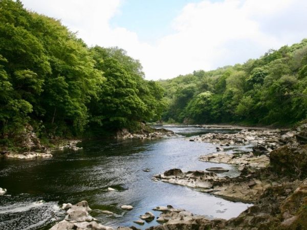 The Ribble River