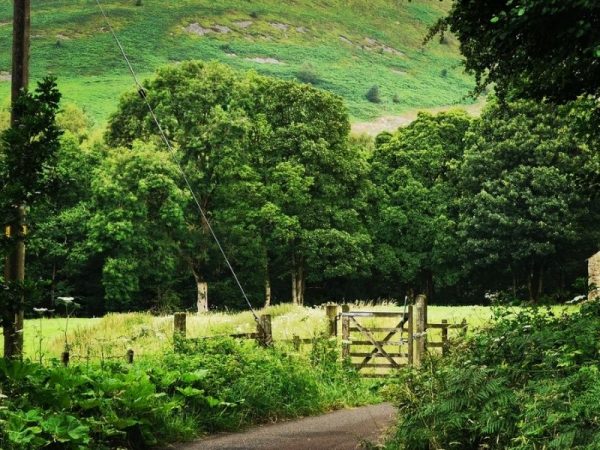 Bowland AONB and Forest