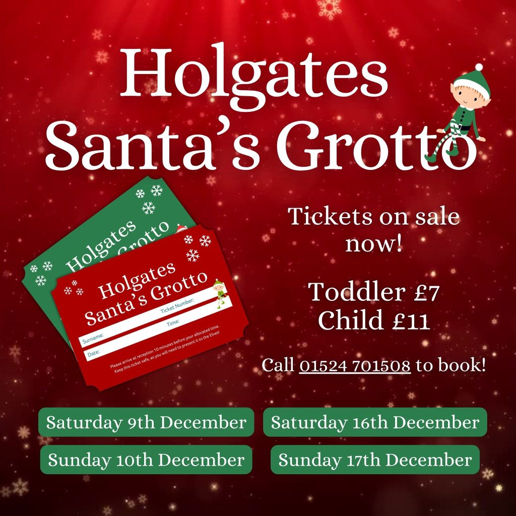 Santa's Grotto Holgates