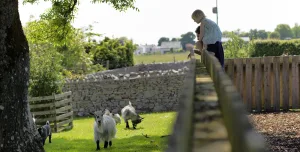 on the farm holiday park uk 